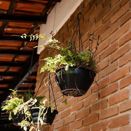 Casa Ka'A Hostel Ubatuba Ngoại thất bức ảnh