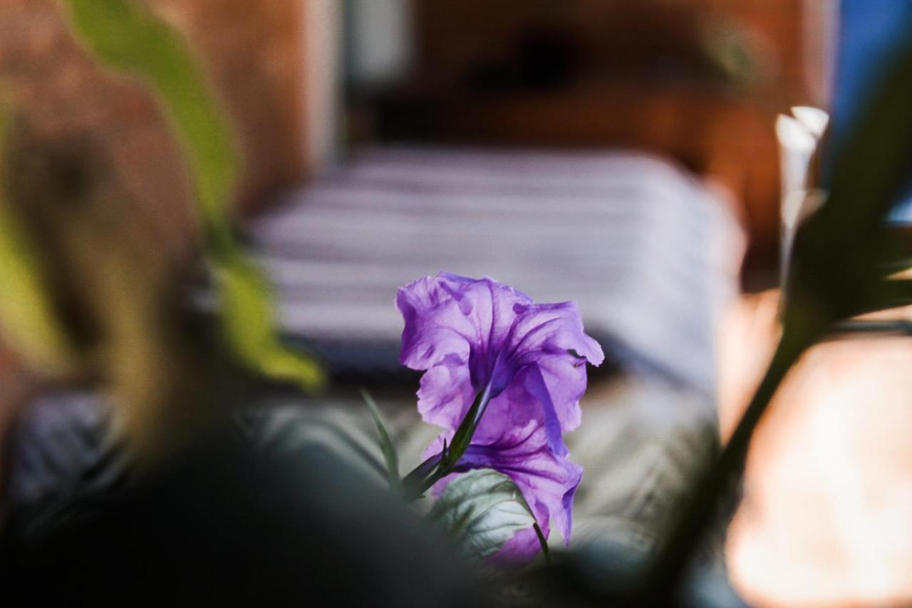Casa Ka'A Hostel Ubatuba Ngoại thất bức ảnh